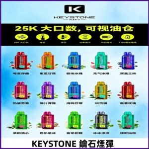 鑰石KEYSTONE FLEX-3 25000口專彈專機套裝|大容量續航