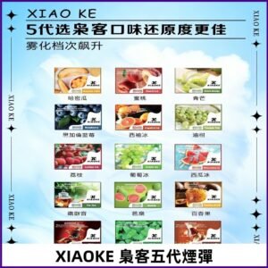 梟客五代煙彈|XIAOKE可替換式電子煙|通用Relx6代|ILIA五代主機